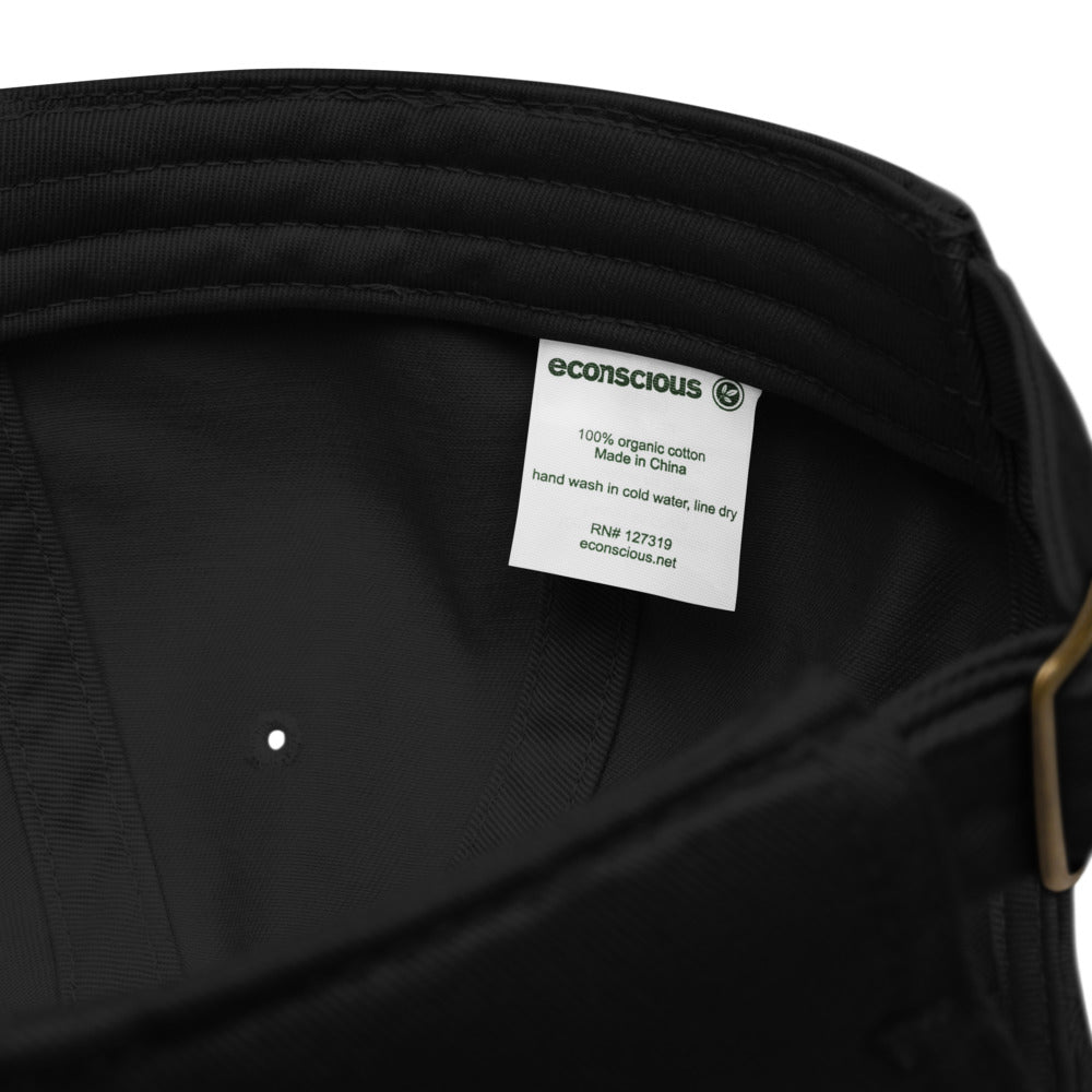 Make Today Count Organic dad hat (Green)
