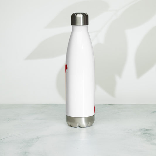 Coffee Stainless Steel Water Bottle