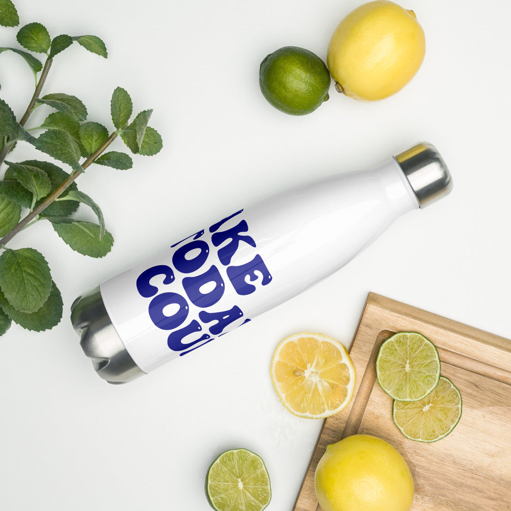 Make Today Count Stainless Steel Water Bottle (Blue)