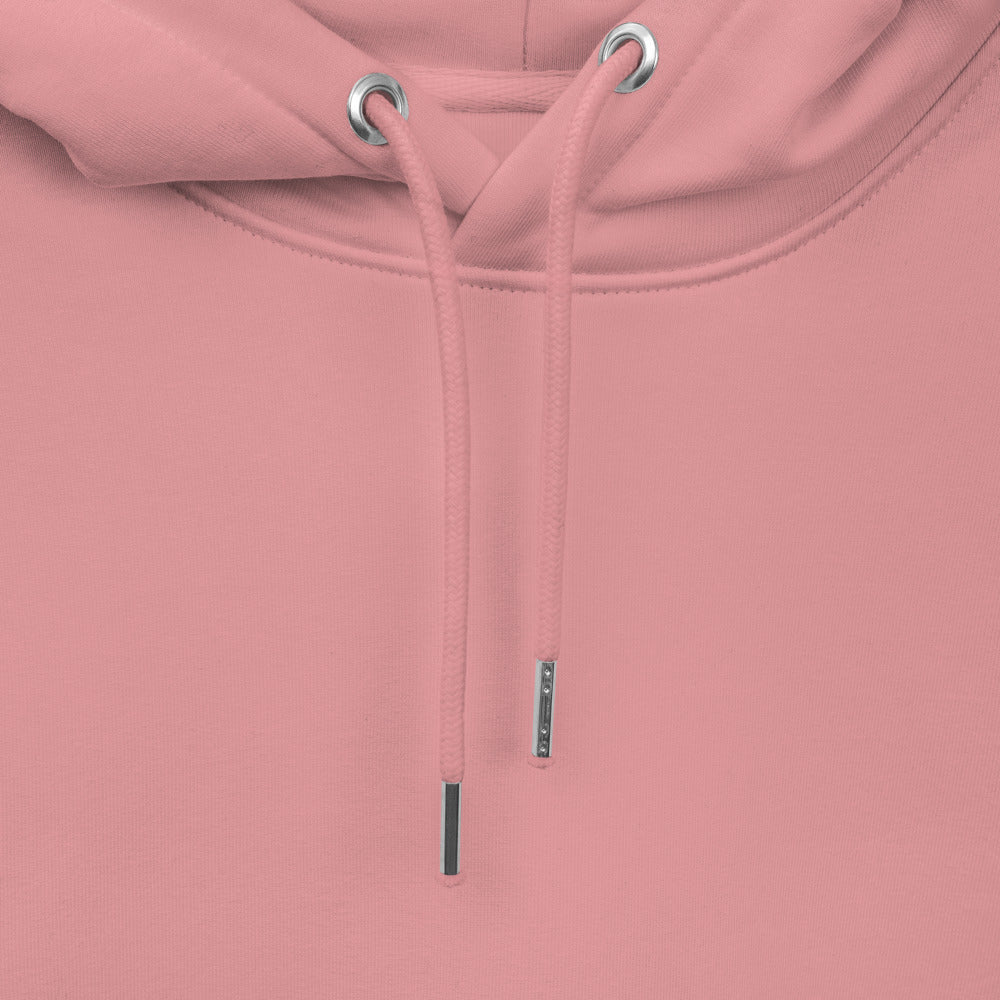 Post to IG and TikTok Unisex hoodie